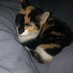 Meet your Posher, Natalie